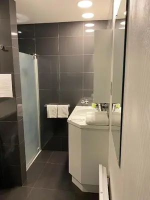 a bathroom with a sink and a shower at Vakantiewoning Het Wielje Maasland in Kinrooi