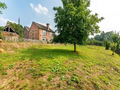 a tree in a field in front of a house at De Appelgaard Voeren Estate in Berg