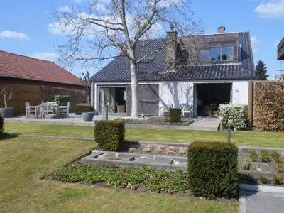 a house with a tree in the yard at Bosrand81 in Hechtel