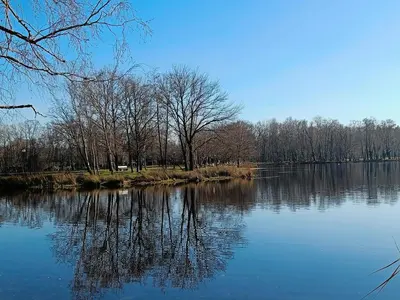 a view of a lake with trees in the background at Lauwie 14 in Lanaken