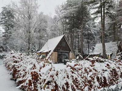 a cabin with snow on it in the woods at Lauwie 14 in Lanaken
