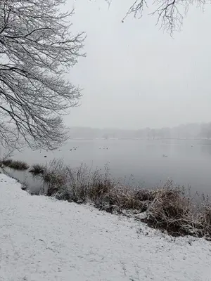 a snowy lake with ducks swimming in the water at Lauwie 14 in Lanaken