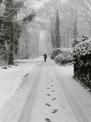 a person walking down a snow covered road at Lauwie 14 in Lanaken