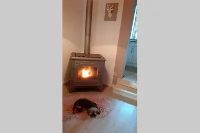a dog laying on a rug in front of a fireplace at ländlich & gemütlich in Raeren mit 2 Schlafzimmern in Raeren