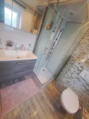 a bathroom with a shower and a toilet and a sink at ländlich & gemütlich in Raeren mit 2 Schlafzimmern in Raeren