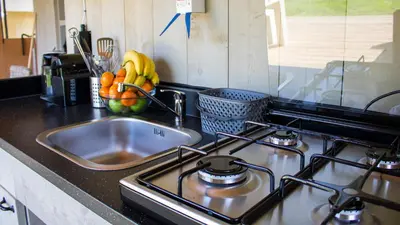 a kitchen stove with a sink and a bowl of fruit at Glamping Belgisch Limburg in Oudsbergen