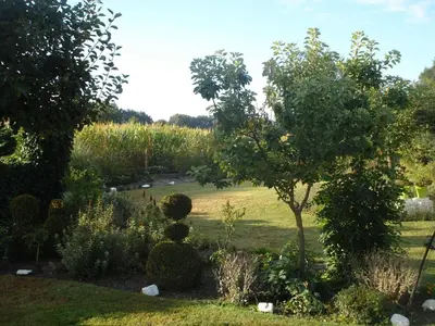 a garden with a tree in the middle of a field at Elegant & Peaceful Holiday Retreat in Peer in Peer