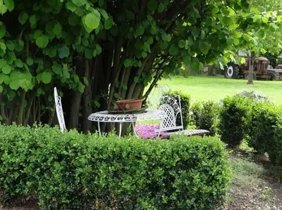 a white table and chairs sitting under a tree at B&B Hoeve Ransberg in Ransberg