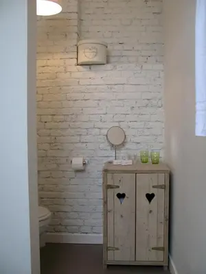 a bathroom with a vanity with a mirror and a toilet at B&B Amuse-Couche in Hasselt
