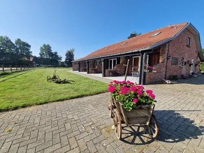 a wheelbarrow filled with flowers in front of a building at B&B De Kroonhoeve in Beringen