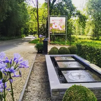 a pond in a garden with purple flowers and a sign at Alterbiezen in Hoeselt