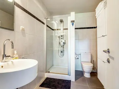 a bathroom with a shower and a sink and a toilet at Alterbiezen in Hoeselt