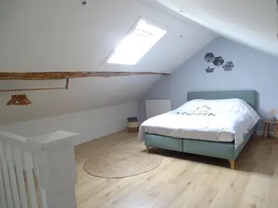 a attic bedroom with a bed and a skylight at Vakantiewoning Mèzik in Maasmechelen