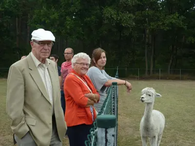 a group of people are looking at a sheep at De Alpacaboerderij in Bocholt