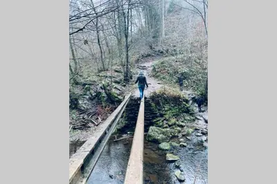 a person walking on train tracks in the woods at Duplex 90m Centre Verviers Calme Gare à pied Spa Francorchamps 20 min in Verviers