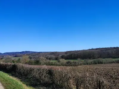 a field of corn next to a dirt road at Your Stay in Kelmis - La Calamine- Cosy apartment in the Ardennes -Three-country point - Neu-Moresnet in Kelmis