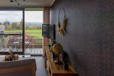 a living room with a tv and a couch and a window at Le Petit Logis in Jalhay