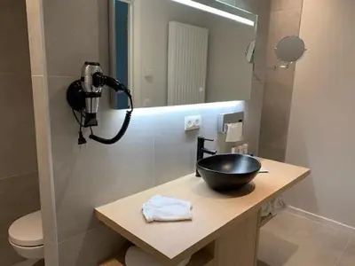 a bathroom with a black bowl sink on a counter at B&B elzartwinning in Hasselt