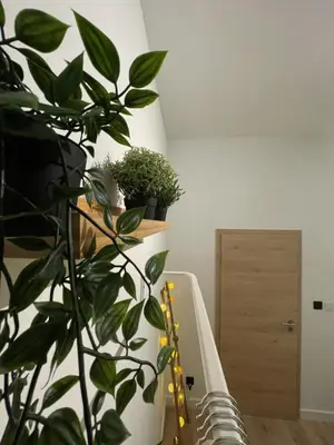 a plant sitting next to a stove in a room at Patenier Hidden Garden 1bdr with garden in Liège