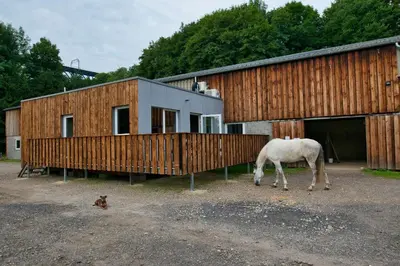a white horse grazing in front of a building at Le gîte de l'écurie des Saules in Plombières