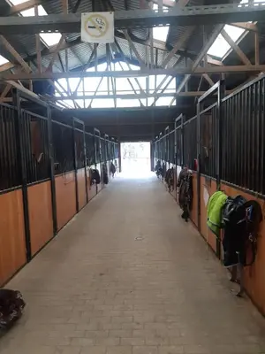a hallway in a barn with cows in it at Le gîte de l'écurie des Saules in Plombières