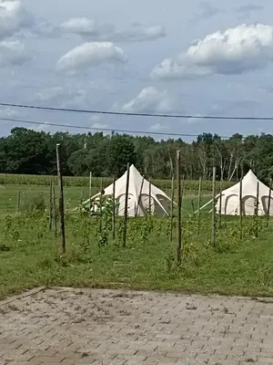 a group of white tents in a field at Natuur-like Glamping in Bosland in Pelt