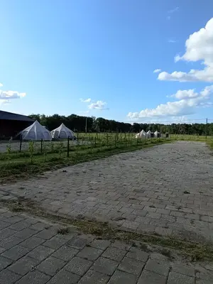 a group of tents in a field with a road at Natuur-like Glamping in Bosland in Pelt