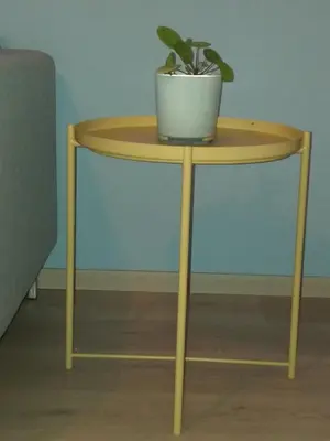 a small table with a potted plant on it at La Maison de Sidonie in Jalhay