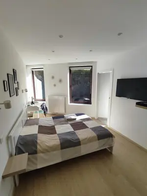 a bedroom with a large bed and a flat screen tv at Studio Citadelle - Chambres avec salle de bain indépendantes et cuisine partagée in Liège