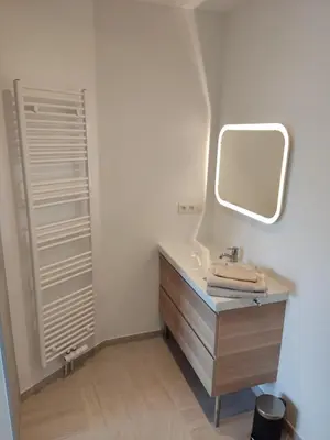 a bathroom with a sink and a mirror at Studio Citadelle - Chambres avec salle de bain indépendantes et cuisine partagée in Liège