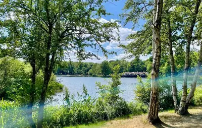 a view of a lake from between two trees at Sonnevijver Vijverdorp-Waterl in Bovenwezet