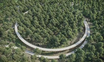 a winding road in the middle of a forest at Vakantiehuis Martien in Peer