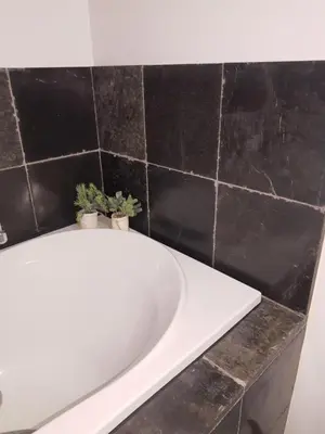 a bathroom with a bath tub with two plants on it at Vakantiewoning 'De Vlaamse Aap' in Dilsen-Stokkem