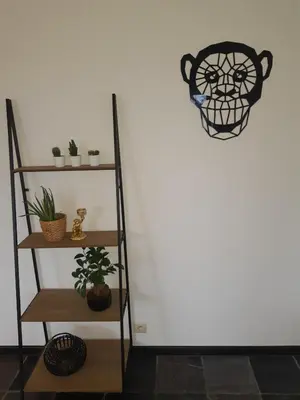 a shelf with potted plants and a clock on a wall at Vakantiewoning 'De Vlaamse Aap' in Dilsen-Stokkem