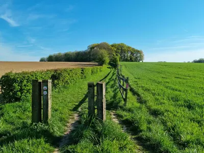 a fence in the middle of a field at Haspenhoeve Vakantiewoning in Herstappe