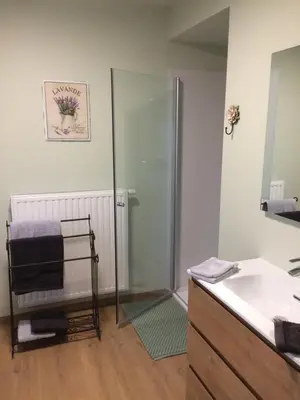 a bathroom with a shower and a sink at Gezellig stadshuisje met patio. in Tongeren