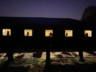 a group of people standing in a building at night at Het Innerhof in Oudsbergen