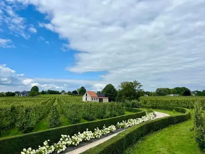 a garden with white flowers and a house in the background at Le Clos du Verger in Aubel