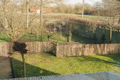 a fence in front of a yard with trees at De Dommelhoeve in Peer