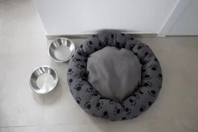 a dog bowl on the floor next to two trash cans at Aan Wal in Rekem