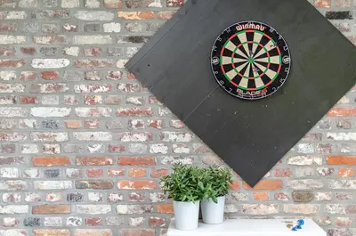 a dart board on a brick wall with two potted plants at In't Groene Woud in Peer