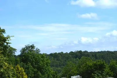 a view of a forest of trees with a sky at Oasis Verte in La Calamine