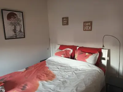 a bedroom with a bed with red pillows at VERADEMING in Bilzen