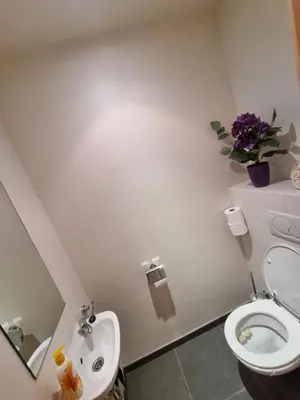 a white bathroom with a toilet and a sink at SusBerg-1 & 2 in Pelt