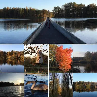 a collage of photos of a lake with swans and trees at Vakantiewoning Casa Maran in een groene omgeving te Heusden-Zolder in Heusden - Zolder