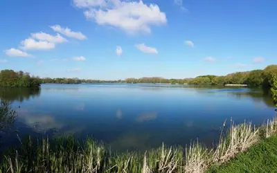 a view of a large lake with trees in the background at De Bosdreef - Hengelhoef - duplex met verwarmd openluchtzwembad in Houthalen-Helchteren