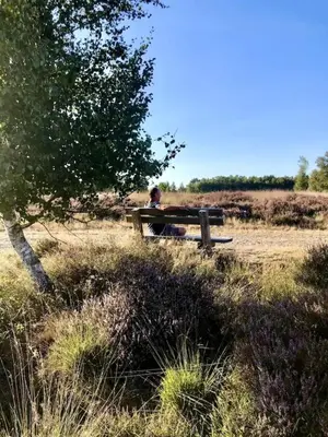 a person sitting on a park bench in a field at De Bosdreef - Hengelhoef - duplex met verwarmd openluchtzwembad in Houthalen-Helchteren
