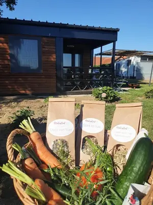 a basket of vegetables sitting on the ground at Houten huisje tussen paarden in Nieuwerkerken
