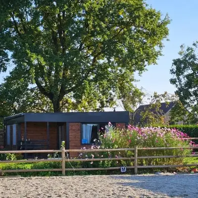 Houten huisje tussen paarden