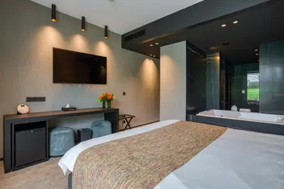 a bedroom with a bed and a tub and a tv at Aux Etangs - Hôtel in Battice